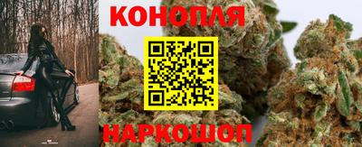 крисы Обнинск