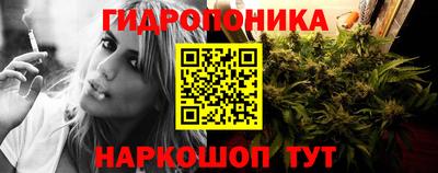крисы Обнинск