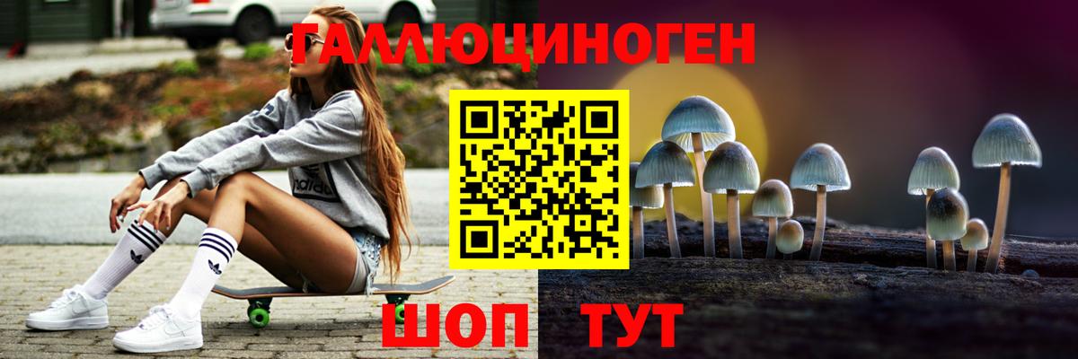 Псилоцибиновые грибы GOLDEN TEACHER  Вход с VPN  цены   Светлоград 