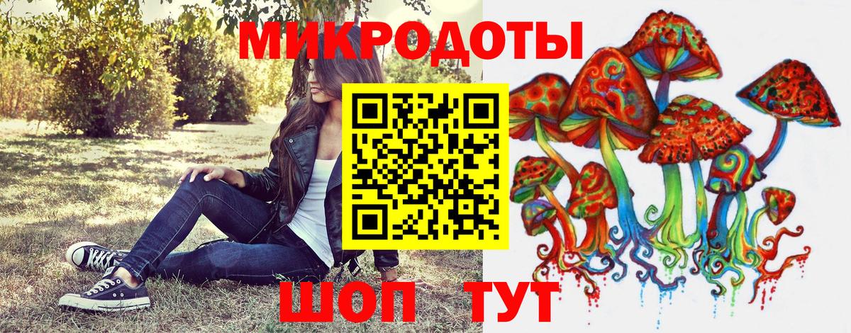 Псилоцибиновые грибы мухоморы Светлоград